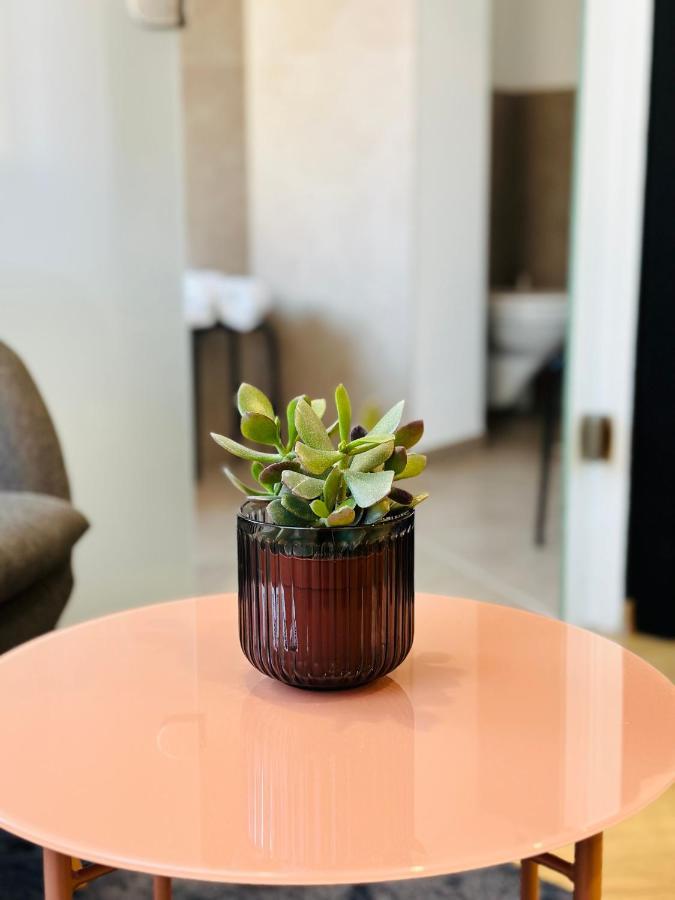 Studio Apartman 코세그 외부 사진